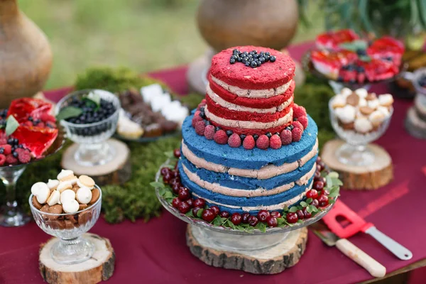 Γάμος στο δάσος. κέικ με μούρα, βατόμουρα και raspberriess στο τραπέζι. Fourchette, πολλά τρόφιμα στο τραπέζι — Φωτογραφία Αρχείου