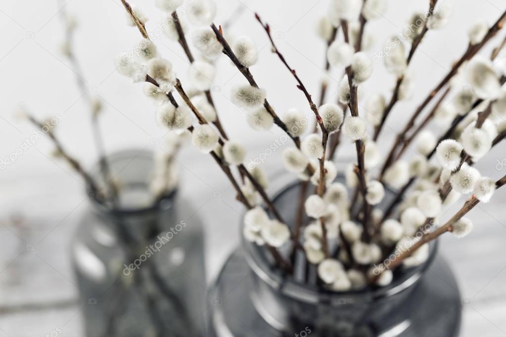 willow branches in glass vases on a wooden gray table-top. selective focus