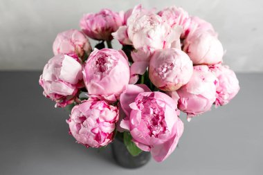 Pembe Şakayık çiçeği üstünde a gri background.copy yer