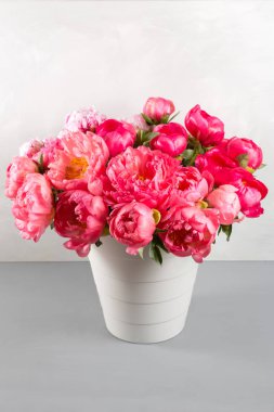 Ahşap masa ve gri arka plan üzerinde vazoda taze mercan Şakayık çiçekler buket. Sınıf çiçek Coralsharm