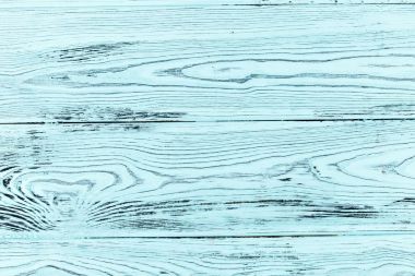 yakın çekim doku Karaçam ağacı. Camgöbeği veya Turkuaz rengi