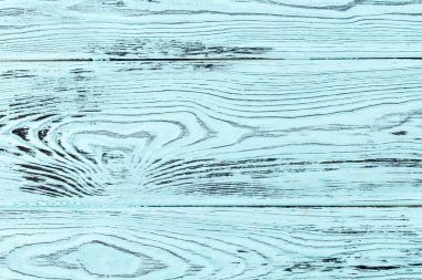 yakın çekim doku Karaçam ağacı. Camgöbeği veya Turkuaz rengi