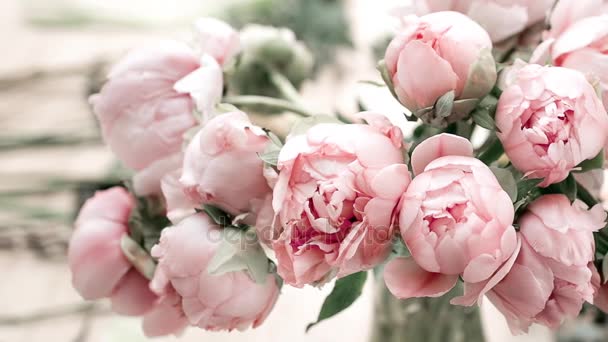 Pivoines roses dans un vase sur sol en bois et fond bokeh photo de style rétro. foyer doux . — Video