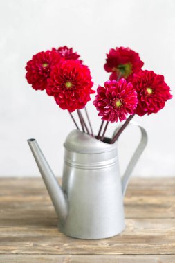 Kova çiçek vintage sulama ile eski panoları.