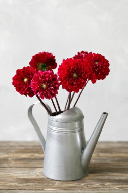 Kova çiçek vintage sulama ile eski panoları.