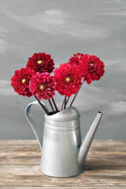 Kova çiçek vintage sulama ile eski panoları.