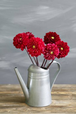 Kova çiçek vintage sulama ile eski panoları.