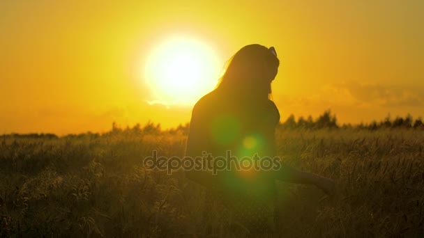 O fată drăguță mai tânără trece printr-un câmp de grâu galben auriu atingând coji în timpul amurgului sau ora magică. După cum se vede din spate într-un unghi scăzut — Videoclip de stoc