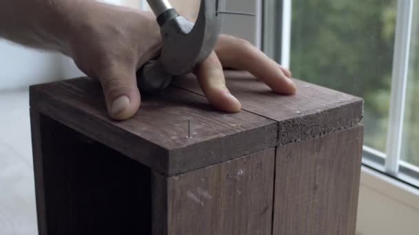 Remove a nail with a claw hammer — Stock Video