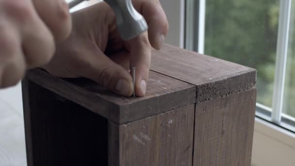 Casual man hameren nagel in plank houten doos thuis — Stockvideo