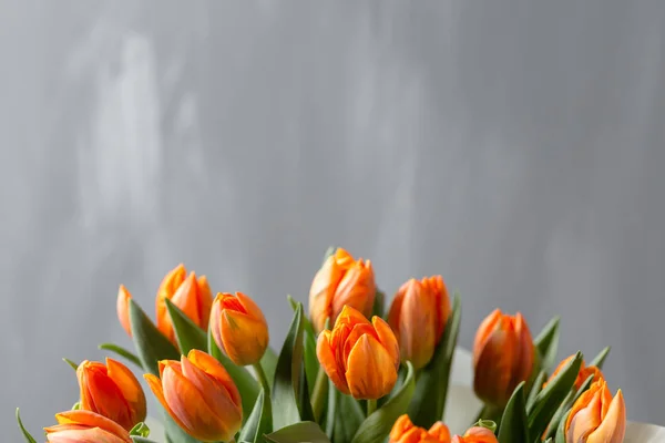 Wunderschöne orangefarbene und gelbe Tulpen an grauer Wand. Blumenhintergrund. warme Farben. Kopierraum — Stockfoto