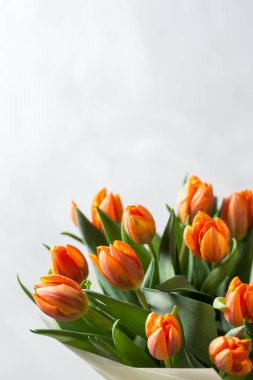 Güzel turuncu ve Sarı laleler ışık gri duvar. Çiçek arka plan. Sıcak renkler. kopya alanı