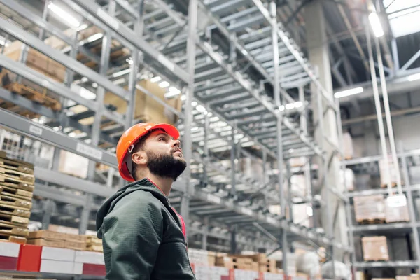 Toptan, Lojistik, insanlar ve verme kavramı - Yöneticisi veya tablet depo ile danışman