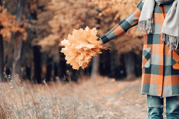 Sonbahar kız şehir Park'ta yürüyordunuz. Mutlu sevimli ve sonbahar renkleri ormanında güzel genç kadın portresi. Buket üzerinde odaklanmak — Stok fotoğraf