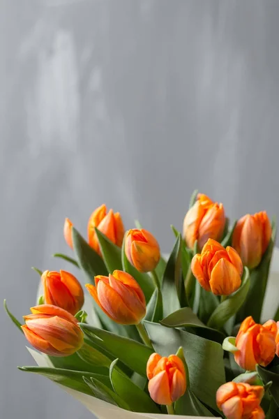 Wunderschöne orangefarbene und gelbe Tulpen an grauer Wand. Blumenhintergrund. warme Farben. Kopierraum — Stockfoto