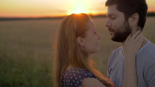 Charming young couple kissing in wheat field at sunset — Stock Video