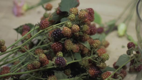 Floristin macht schönen Strauß im Blumenladen — Stockvideo