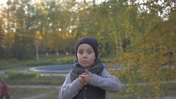 Lachende baby jongetje spelen in het park. Herfst. Grappige schattig kind maken van vakanties en genieten van de herfst. — Stockvideo