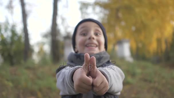Показує жест, як палець зверху. Усміхнений маленький хлопчик грає в парку. Осінь. палець — стокове відео