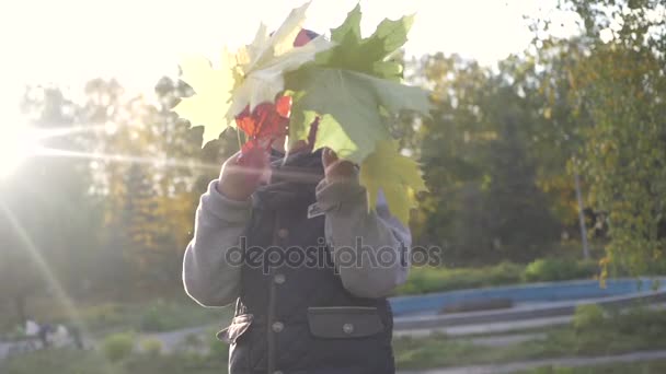 Χαμογελώντας μικρό αγοράκι, παίζοντας στο πάρκο. Το φθινόπωρο. φύλλα σφενδάμου κίτρινο — Αρχείο Βίντεο