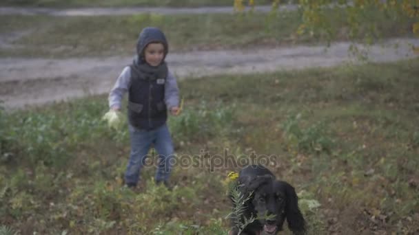 Осінній ліс з хлопчиком і його собаку. чорний спанієль — стокове відео