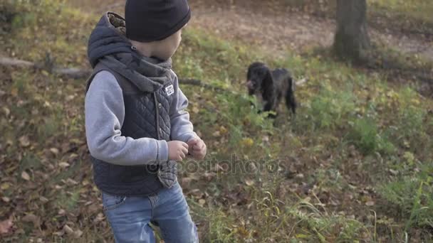 Bosque de otoño con un niño y su perro. Spaniel negro — Vídeo de stock