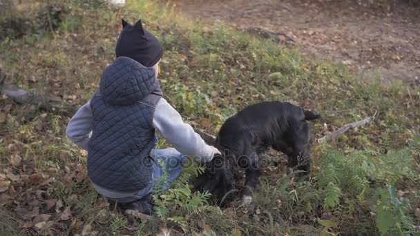 Φθινόπωρο δάσος με ένα αγόρι και ο σκύλος. μαύρο Σπάνιελ — Αρχείο Βίντεο