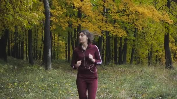 Gesunder Lebensstil. athletisches Mädchen, das im Park läuft und joggt. — Stockvideo