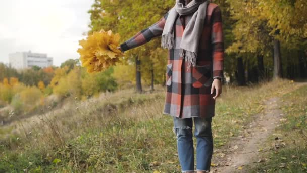 Ramo de las hojas amarillas. Chica de otoño caminando en el parque de la ciudad. Retrato de mujer joven hermosa y feliz en el bosque en colores de otoño . — Vídeo de stock