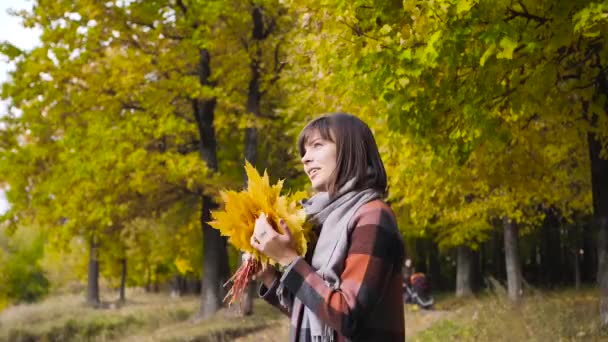 黄色の葉の花束。都市公園における歩行の秋の少女。幸せな素敵なと紅葉の森の美しい若い女性の肖像画. — ストック動画