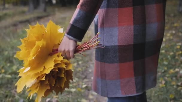 黄色の葉の花束。都市公園における歩行の秋の少女。幸せな素敵なと紅葉の森の美しい若い女性の肖像画. — ストック動画