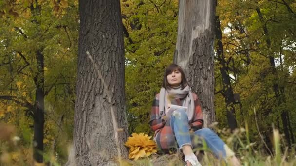 Maravilhosa vista outonal. Encantadora jovem feliz sorrindo mulher sentada na grama em um parque, tomar notas no caderno . — Vídeo de Stock
