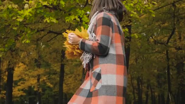 Boeket van de gele bladeren. Herfst meisje lopen in stadspark. Portret van gelukkig heerlijk en mooie jonge vrouw in het bos in herfst kleuren. — Stockvideo