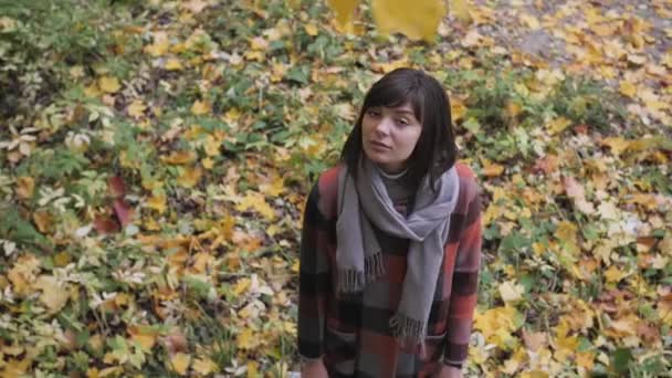 Chica de otoño caminando en el parque de la ciudad. Retrato de mujer joven hermosa y feliz en el bosque en colores de otoño . — Vídeo de stock