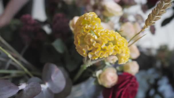 Mästarklass av kvinnliga florist på jobbet med massa blommor. Tjej att göra olika hösten blombukett. Business kvinna florist på blomsteraffär — Stockvideo