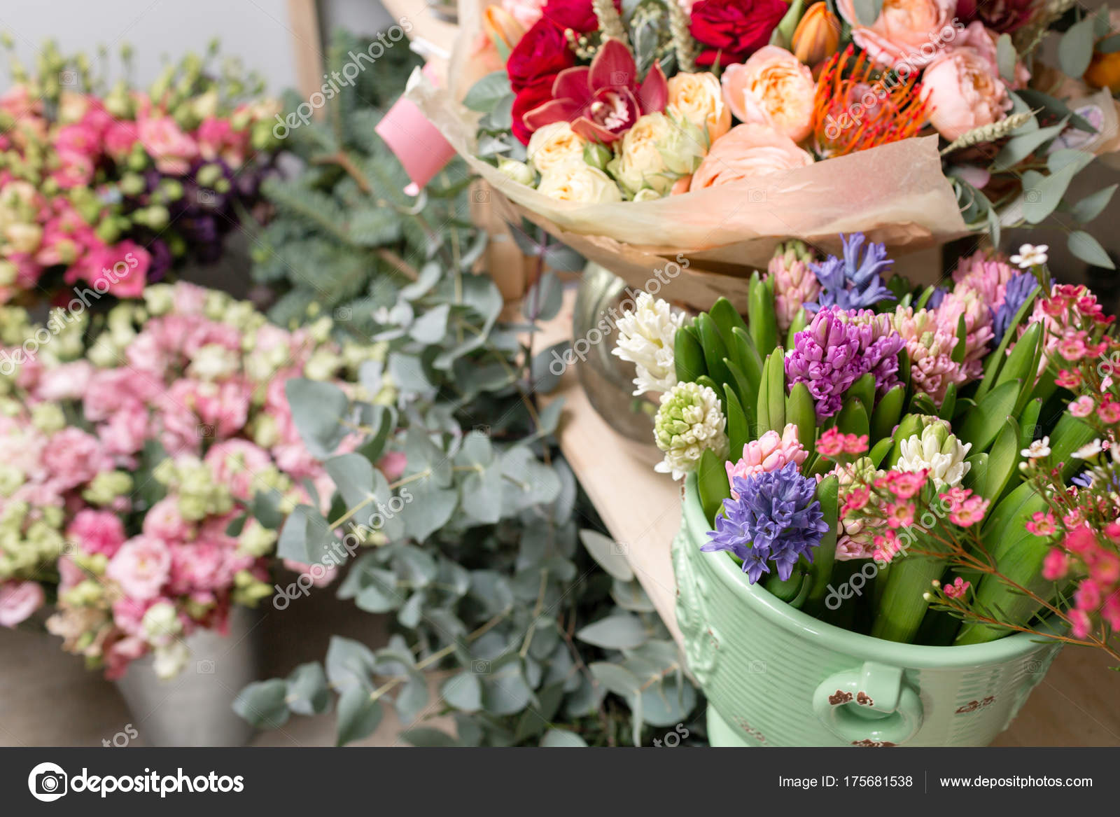Different varieties. Fresh spring flowers in refrigerator for flowers ...