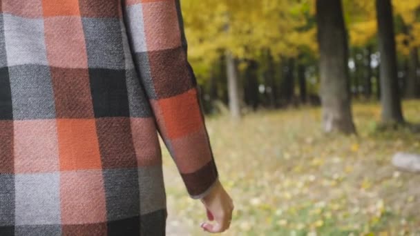 Hösten flicka vandrar i stadsparken. Porträtt av glad trevlig och vacker ung kvinna i skog i höstfärger. — Stockvideo