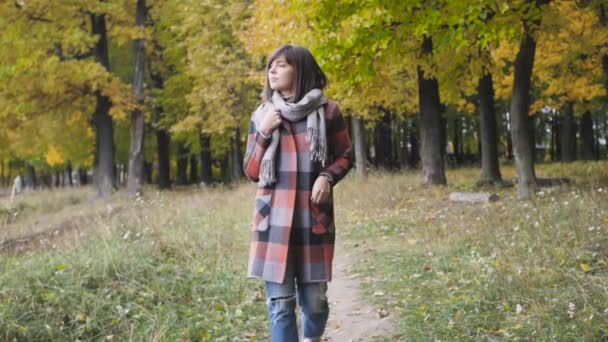 Chica de otoño caminando en el parque de la ciudad. Retrato de mujer joven hermosa y feliz en el bosque en colores de otoño . — Vídeo de stock