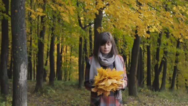 黄色の葉の花束。都市公園における歩行の秋の少女。幸せな素敵なと紅葉の森の美しい若い女性の肖像画. — ストック動画