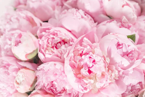 Elegant bouquet of a lot of peonies of pink color close up. Beautiful flower for any holiday. Lots of pretty and romantic flowers in floral shop. — Stock Photo, Image