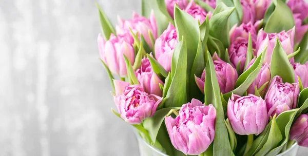 Bouquet de tulipes violettes sur gris clair. fleurs de printemps, cultivées en Hollande — Photo