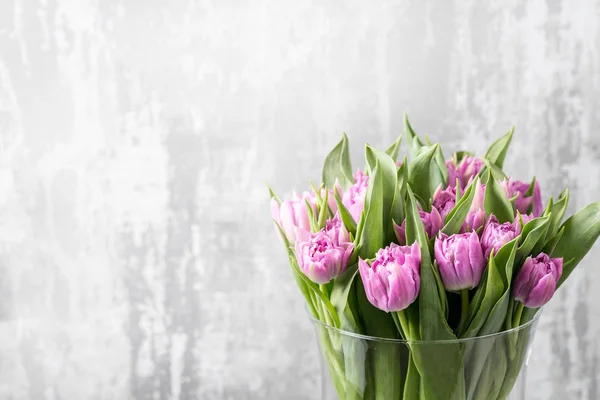 Bouquet de tulipes violettes sur gris clair. fleurs de printemps, cultivées en Hollande — Photo
