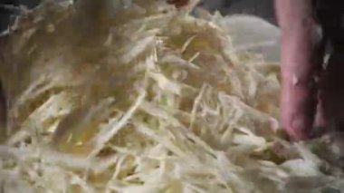 El bıçak kesim taze sebze ile closeup. Genç Şef kesme lahana beyaz kesme pano portre üzerinde. Bir restoran mutfağında yemek