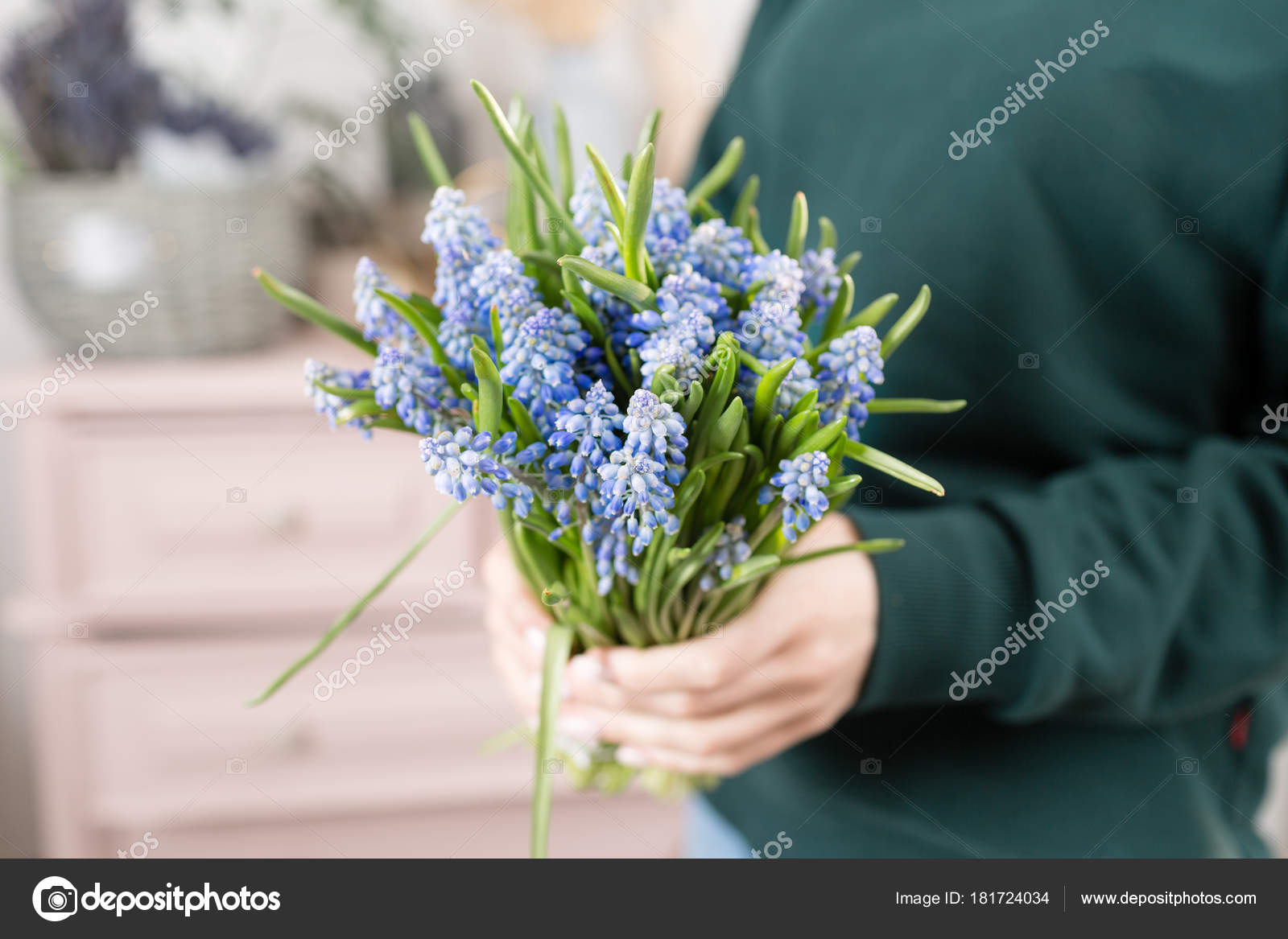 美しい春の花の花束 デリケートな女性の手保持している青いムスカリの花を保持します ピンク背景のたんすフラワー ショップ 家族経営 ストック写真 C Malkovkosta 美しい春の花の花束 デリケートな女性の手保持している青いムスカリの花を保持します ピンク背景のたんすフラワー ショップ 家族経営 ストック写真 C Malkovkosta