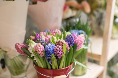 Çiçek Dükkanı kavramı. Farklı çeşitleri taze bahar çiçek çiçekler için buzdolabı odasında. Raf, çiçekçi iş buketleri.