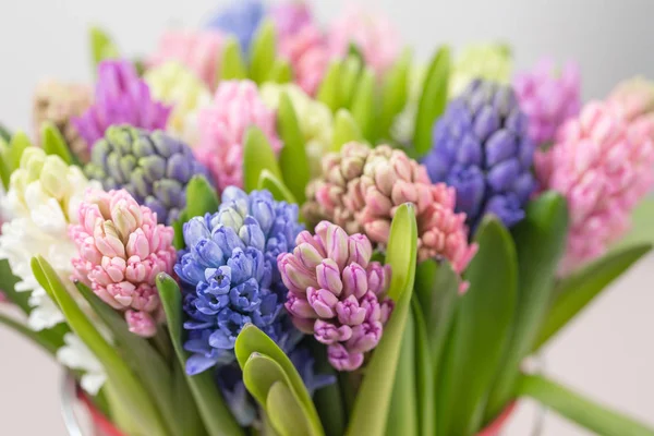 Hyazinthe-Nahaufnahme. Blumenladen-Konzept. gemischte Farben. frische Frühlingsblumen im Kühlschrank Raum für Blumen. Sträuße im Regal, Blumengeschäft. — Stockfoto