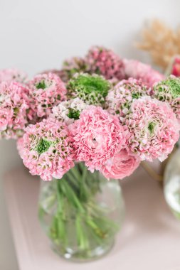 Farsça buttercup. dantel birçok yaprakları ile. Soluk pembe tipik çiçekler açık renkli bir grup. Duvar kağıdı