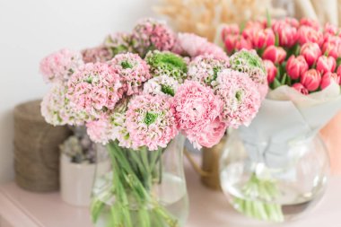 Farsça buttercup. dantel birçok yaprakları ile. Soluk pembe tipik çiçekler açık renkli bir grup. Duvar kağıdı