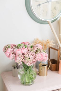 Farsça buttercup. dantel birçok yaprakları ile. Soluk pembe tipik çiçekler açık renkli bir grup. Duvar kağıdı