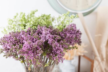 Menekşe leylak çiçekler Bahar, yumuşak çiçek arka plan.